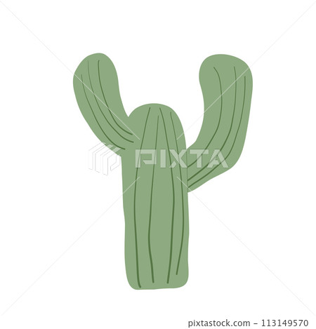 Cactus isolation on white background. Mexican cacti and aloe. Exotic plant Vector flat illustration 113149570
