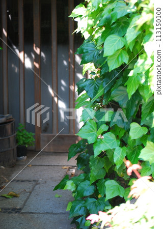 The entrance of a Japanese house The entrance of a Japanese house 113150100