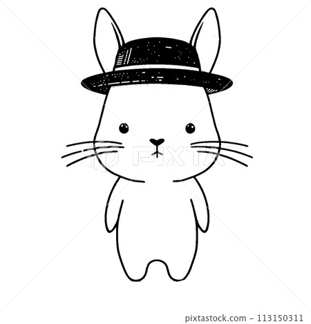 帶著帽子的兔子 113150311