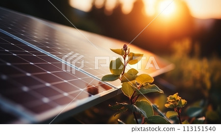 Solar farm and sun light. Green energy for a sustainable future. Renewable energy source. 113151540