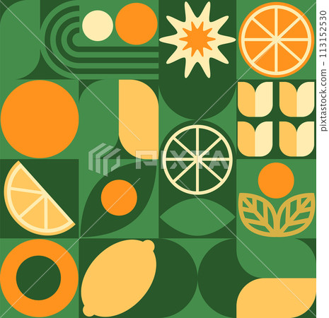 Abstract geometric fruit pattern. Shapes of natural organic flower plants, eco-agriculture citrus. Vector minimal illustration 113152530