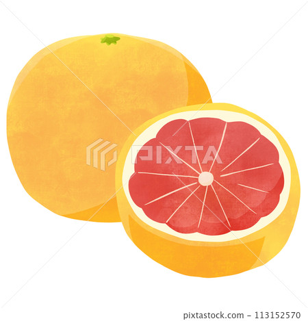 Grapefruit ruby whole/cross section hand-drawn illustration Grapefruit ruby whole/cross section hand-drawn illustration 113152570