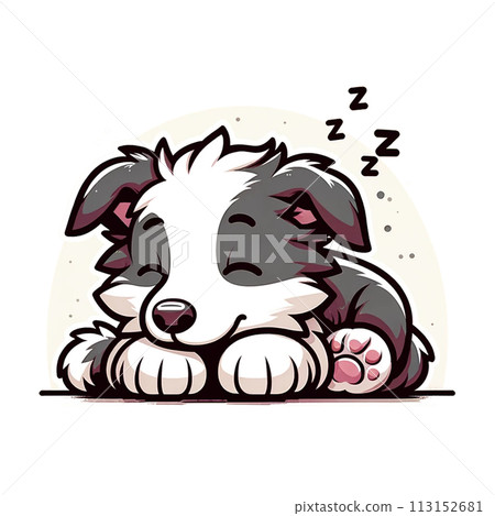 邊境牧羊犬小狗睡著了 113152681