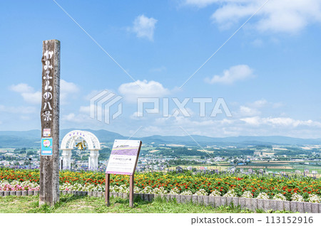 北海道上富良野町 夏季北海道日出薰衣草園，薰衣草和各種鮮花盛開 113152916
