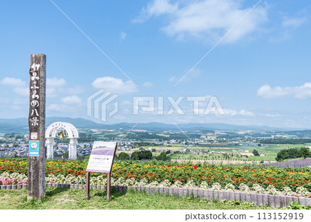 Kamifurano Town, Hokkaido Summer Hokkaido Sunrise Lavender Garden with lavender and various flowers in full bloom 113152919
