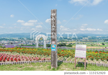 北海道上富良野町 夏季北海道日出薰衣草園,薰衣草和各種鮮花盛開 北海道上富良野町 夏季北海道日出薰衣草園,薰衣草和各種鮮花盛開 113152920