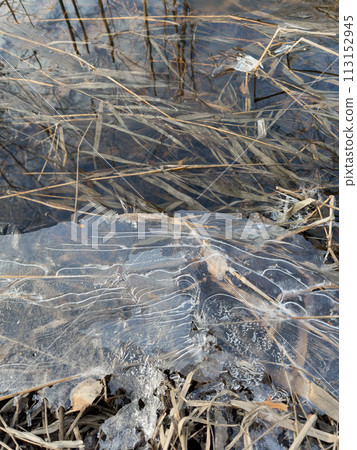 thin transparent ice on a puddle in the park on a spring day, foliage through the ice, dry grass through ice 113152945