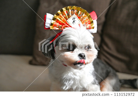 狗新年卡 113152972