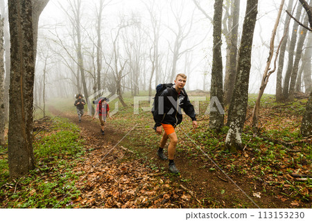 Hikers walk on a foggy forest trail 113153230