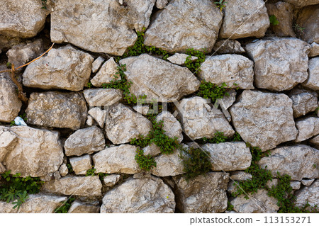 Abstract background of stone wall texture with green plant Abstract background of stone wall texture with green plant 113153271