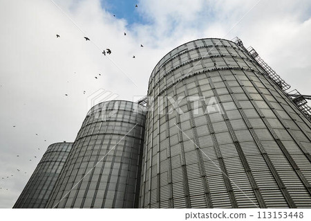 Modern grain terminal. Metal tanks of elevator. Grain-drying complex construction. Commercial grain or seed silos at seaport. Steel storage for agricultural harvest. 113153448