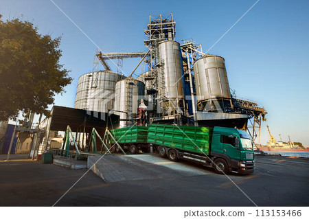 Unloading grain truck at elevator on elevating hydraulic platform unloader. Grain crops transshipment at big sea terminal at seaport. 113153466