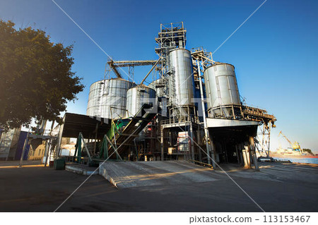 Unloading grain truck at elevator on elevating hydraulic platform unloader. Grain crops transshipment at big sea terminal at seaport. 113153467