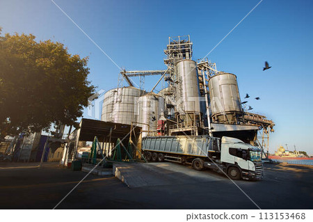 Unloading grain truck at elevator on elevating hydraulic platform unloader. Grain crops transshipment at big sea terminal at seaport. 113153468