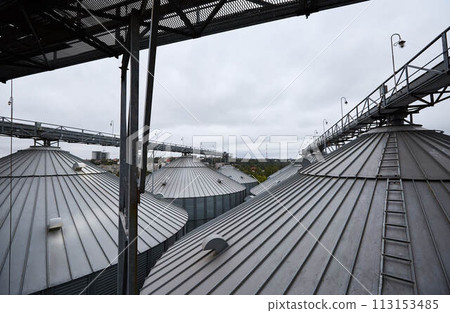 Modern grain terminal. Metal tanks of elevator. Grain-drying complex construction. Commercial grain or seed silos at seaport. Steel storage for agricultural harvest. Modern grain terminal. Metal tanks of elevator. Grain-drying complex construction. Commercial grain or seed silos at seaport. Steel storage for agricultural harvest. 113153485