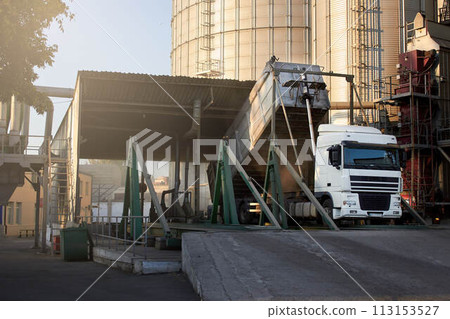 Unloading grain truck at elevator on elevating hydraulic platform unloader. Grain crops transshipment at big sea terminal at seaport. Unloading grain truck at elevator on elevating hydraulic platform unloader. Grain crops transshipment at big sea terminal at seaport. 113153527