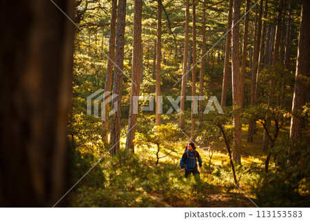 Bearded hiker man walks in a pine yellow autumn forest. Backpacker hipster enjoys fall landscape. Bearded hiker man walks in a pine yellow autumn forest. Backpacker hipster enjoys fall landscape. 113153583
