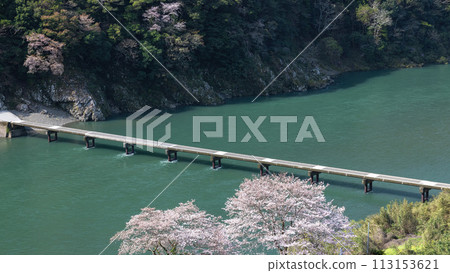 Spring Iwama Settlement Bridge 113153621