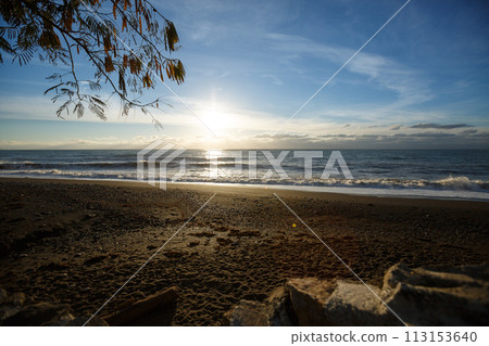 Photo of a sunrise above the sea on empty pebble sand beach with a tree branch on a foreground Photo of a sunrise above the sea on empty pebble sand beach with a tree branch on a foreground 113153640