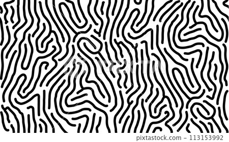 Abstract black line art on white background 113153992