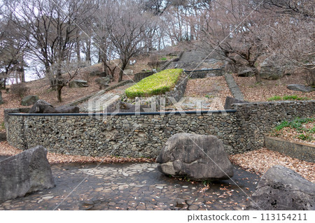 前橋市大室公園採石場遺址 前橋市大室公園採石場遺址 113154211