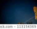Orion  113154369