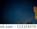 Orion  113154370