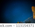 Orion  113154371