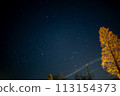 Orion  113154373