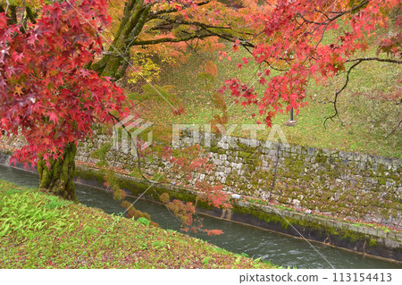 山科運河西口和第一隧道的紅葉 113154413