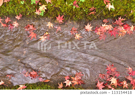 溪流和秋葉 113154418