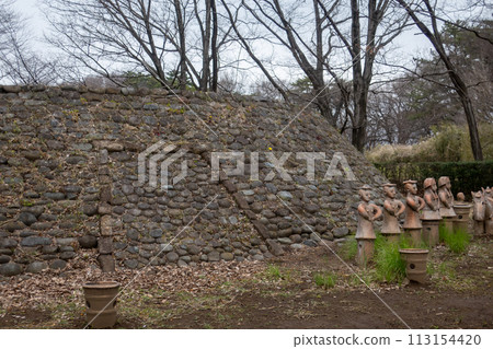 前橋市大室公園M-4墳墓 113154420