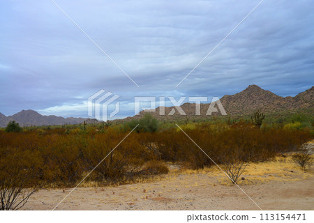 San Tan Mountains Sonora Desert Arizona San Tan Mountains Sonora Desert Arizona 113154471