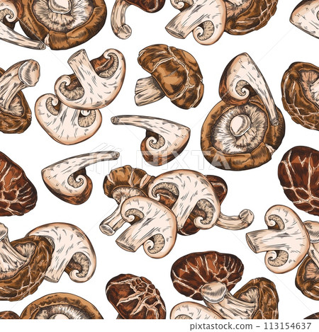 Seamless pattern with whole and cut shiitake mushrooms hand drawn vector, Asian fungus fungi natural organic vegan food 113154637