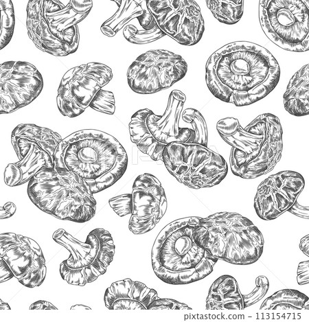 Seamless pattern with shiitake mushrooms engraved hand drawn vector, Asian raw fungus fungi natural organic vegan food 113154715