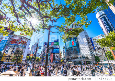Japan's Tokyo cityscape Breaking news that the Abe administration's income doubling strategy has not been achieved due to the coronavirus...Avoiding responsibility...A ray of hope...=Shibuya 113154798