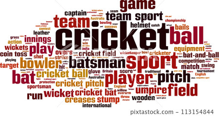 Cricket word cloud 113154844