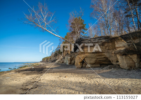 Tranquil Beach Landscape with Eroded Rock Formations and Bare Trees. Veczemju cliffs, Latvia Tranquil Beach Landscape with Eroded Rock Formations and Bare Trees. Veczemju cliffs, Latvia 113155027