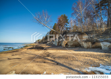 Sunlight Casting Shadows on Eroded Forest Rocks. Veczemju cliffs, Latvia 113155033