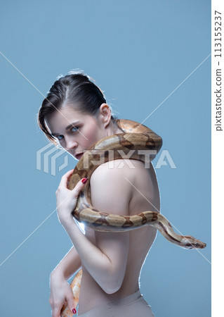 Young woman in underwear posing with snake on blue background. Luxury skincare lines, rejuvenation and exotic appeal in product branding. Young woman in underwear posing with snake on blue background. Luxury skincare lines, rejuvenation and exotic appeal in product branding. 113155237