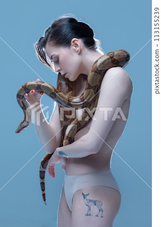 Tender brunette young woman in underwear posing with snake around body on blue background. Exploring human instincts Tender brunette young woman in underwear posing with snake around body on blue background. Exploring human instincts 113155239