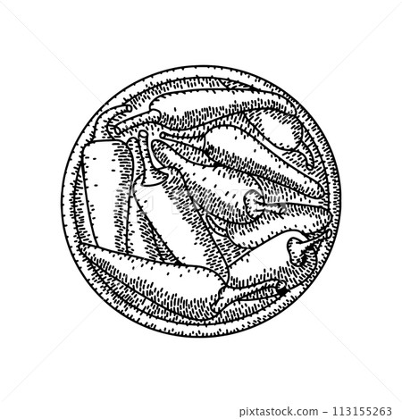 Vintage engraved drawing of chili pepper on plate. Food engraved style illustration. Detailed hand drawn contour vegetarian sketch. Great for label, poster, print, menu 113155263