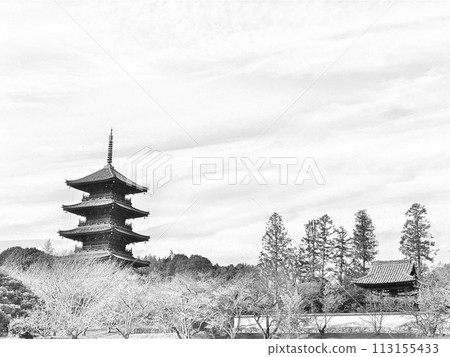 Bicaku Kokubunji Five-storied pag Bicaku Kokubunji Five-storied pag 113155433