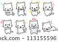 Cats with various emotions② 113155596