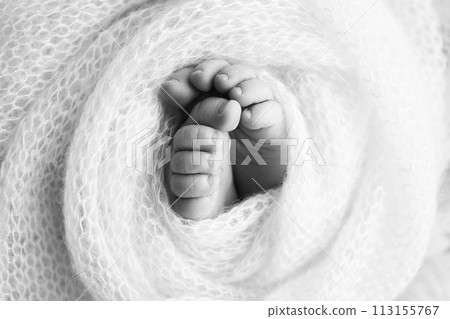 The tiny foot of a newborn baby. Soft feet of a new born in a wool blanket. Close up of toes, heels and feet of a newborn. Black and white Macro photography. The tiny foot of a newborn baby. Soft feet of a new born in a wool blanket. Close up of toes, heels and feet of a newborn. Black and white Macro photography. 113155767