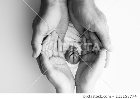 The palms of the father, the mother are holding the foot of the newborn baby. Feet of the newborn on the palms of the parents. Studio macro black and white photo of a child's toes, heels and feet. 113155774