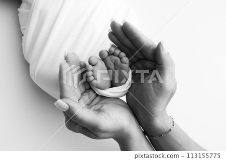 The palms of the father, the mother are holding the foot of the newborn baby. Feet of the newborn on the palms of the parents. Studio macro black and white photo of a child's toes, heels and feet. The palms of the father, the mother are holding the foot of the newborn baby. Feet of the newborn on the palms of the parents. Studio macro black and white photo of a child's toes, heels and feet. 113155775