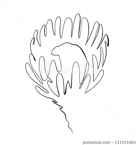 Continuous drawing of lines. Line art continuous line drawing of a flower. Vector minimalist 113155903