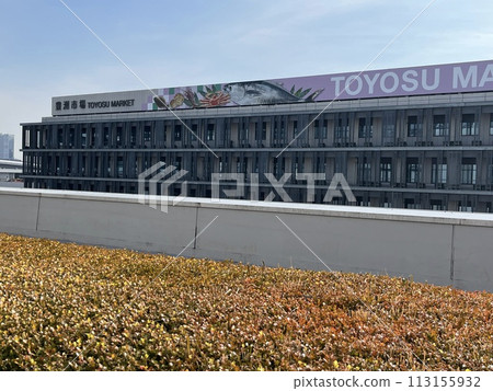 東京豐洲市場屋頂綠色廣場 113155932