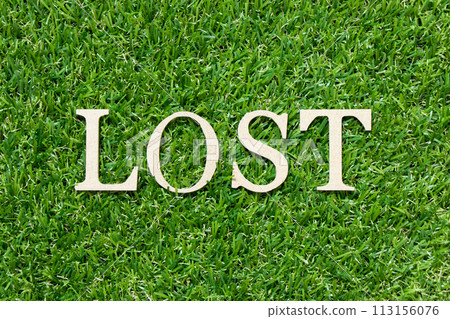 Wood letter in word lost on green grass background 113156076